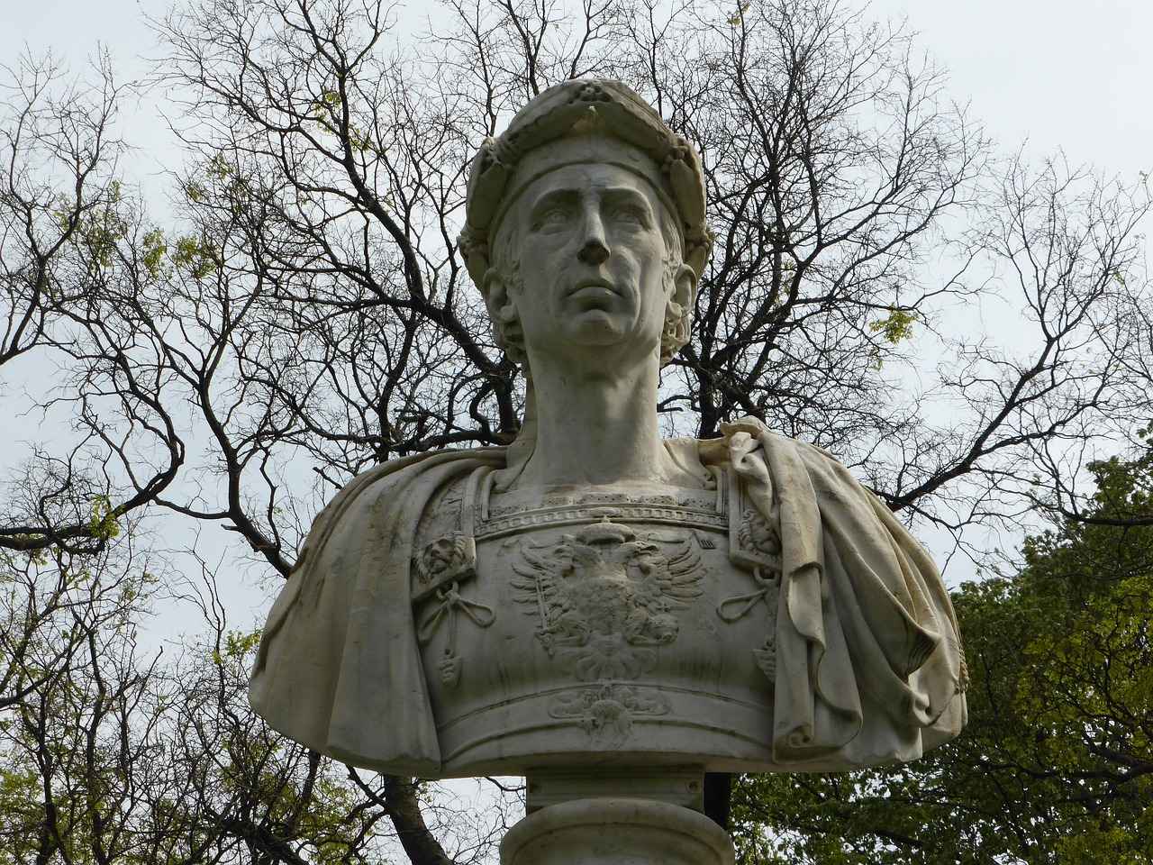 1. Pamuk: Doğal ve Dayanıklı