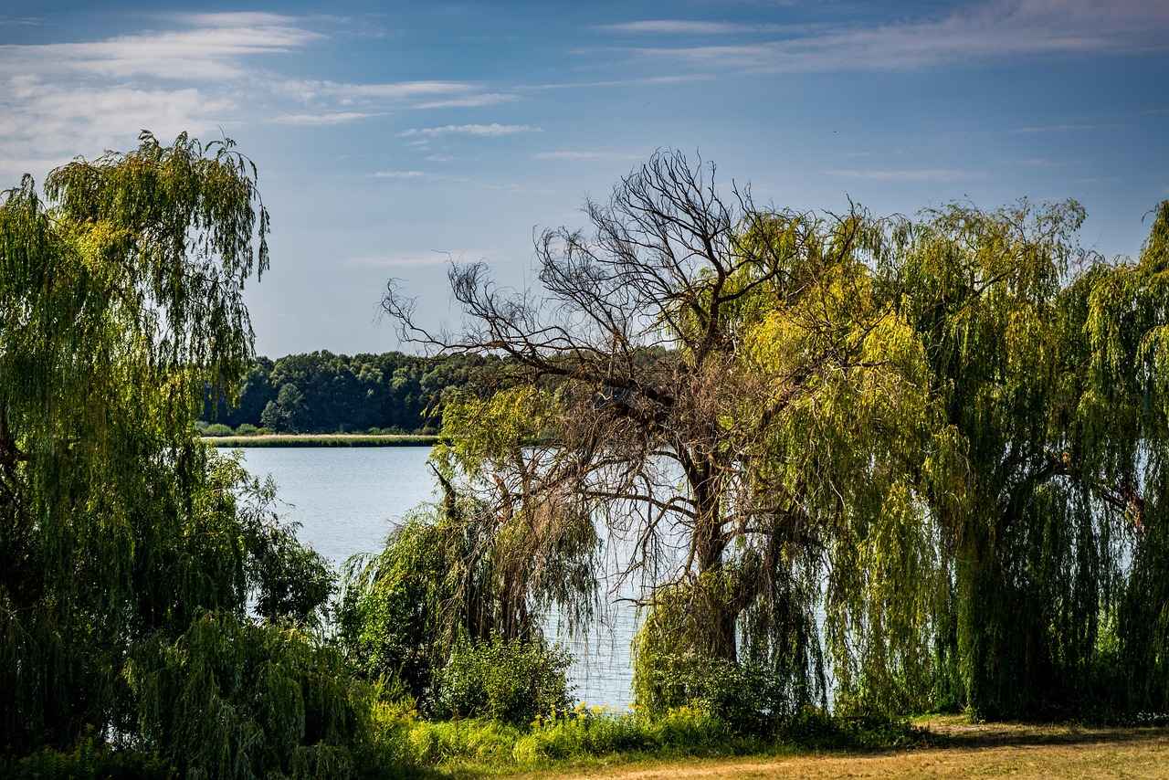 4.1. Mevsime Uygun Malzeme Seçimi