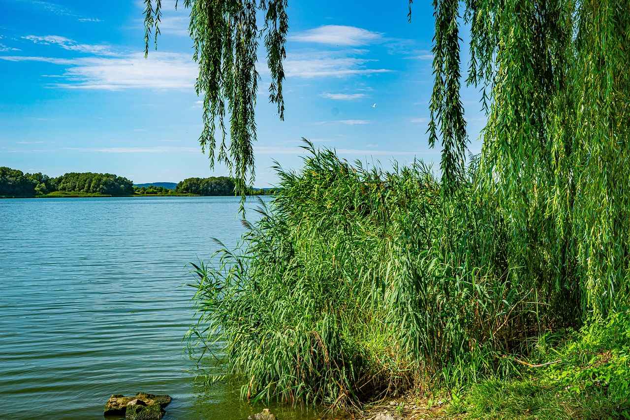 10. Sonuç ve Öneriler