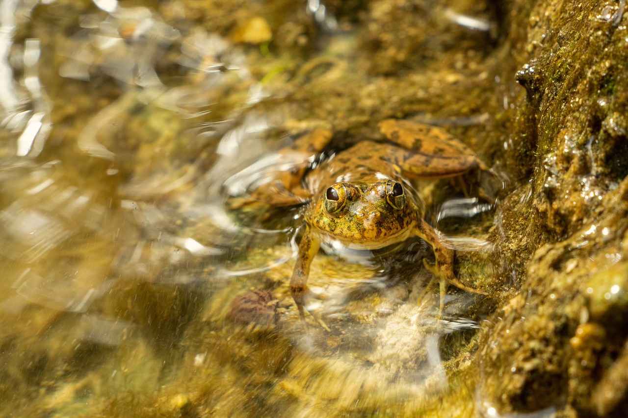Sonuç: Trend Desen ve Renklerle Yatak Odanızı Güzelleştirin