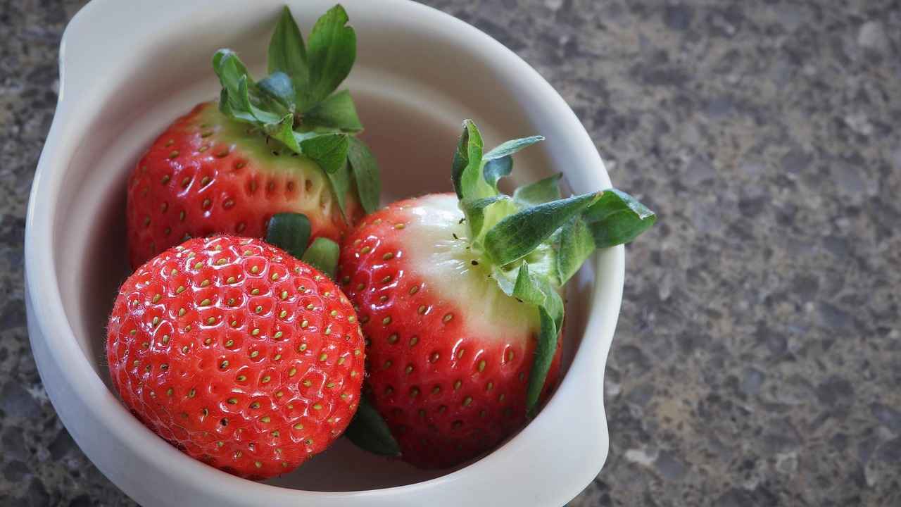 8. Ekstra Bakım İpuçları