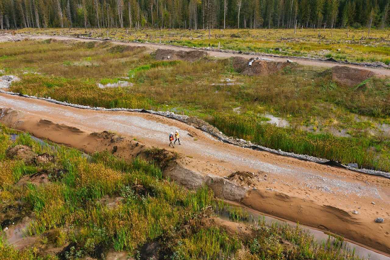 Neden Nevresim ve Yatak Örtüsü Birlikte Kullanılmalı?