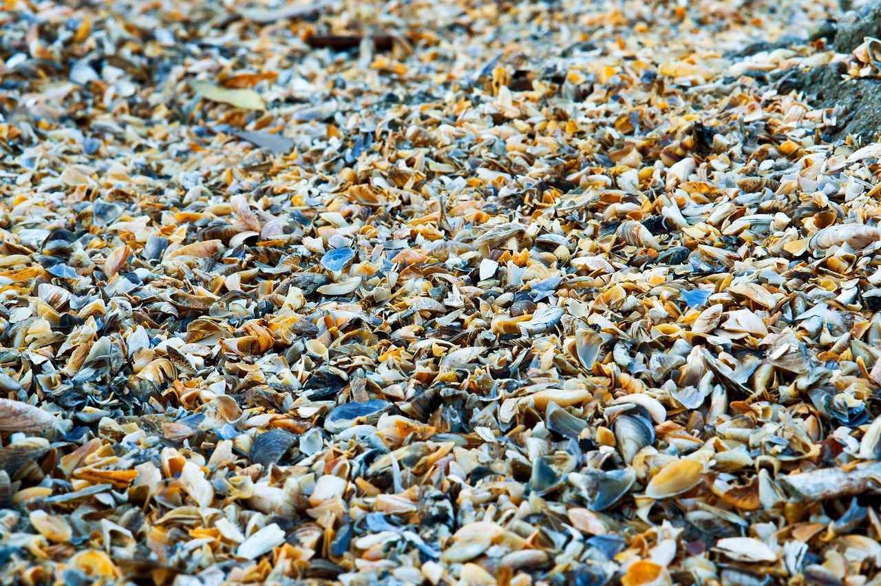 Environmental Considerations