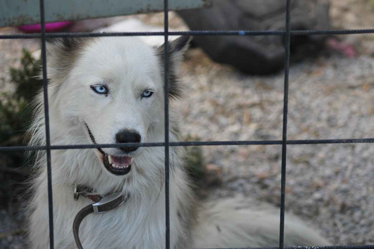 Nevresimlerinizi Nasıl Yıkamalısınız?