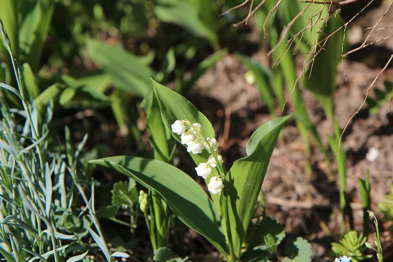 2. Parfüm Uygulama Teknikleri