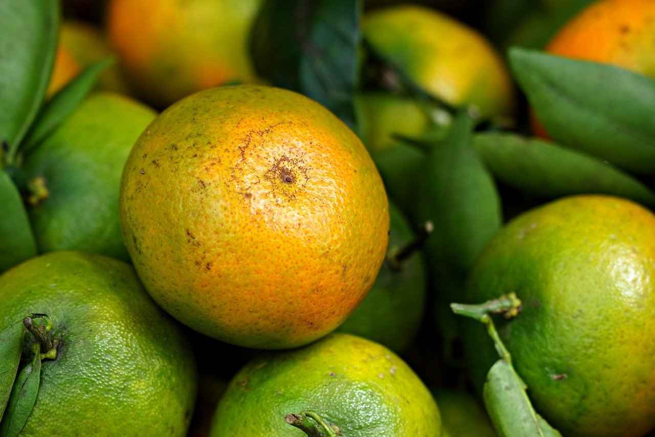 1. Organik Nevresim Nedir?