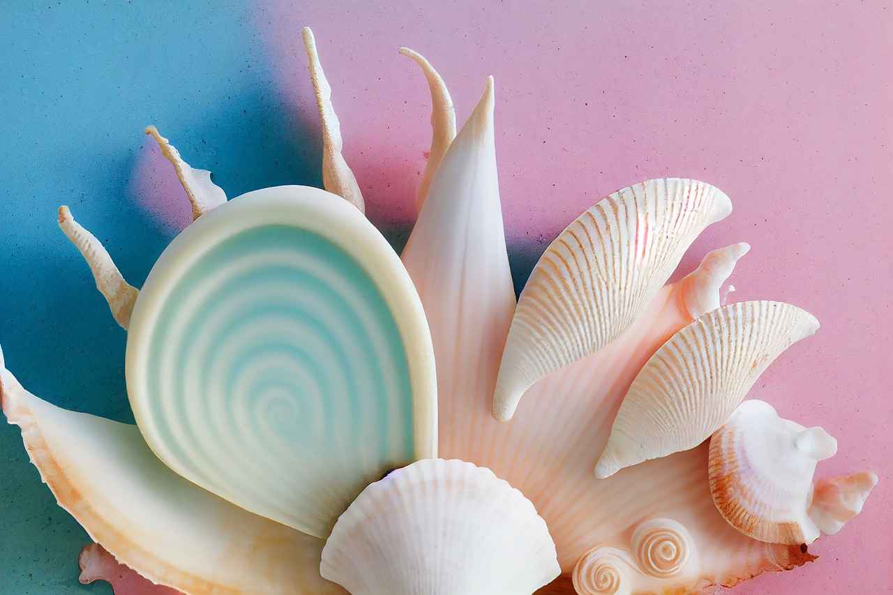 Farklı Renk Paletleri