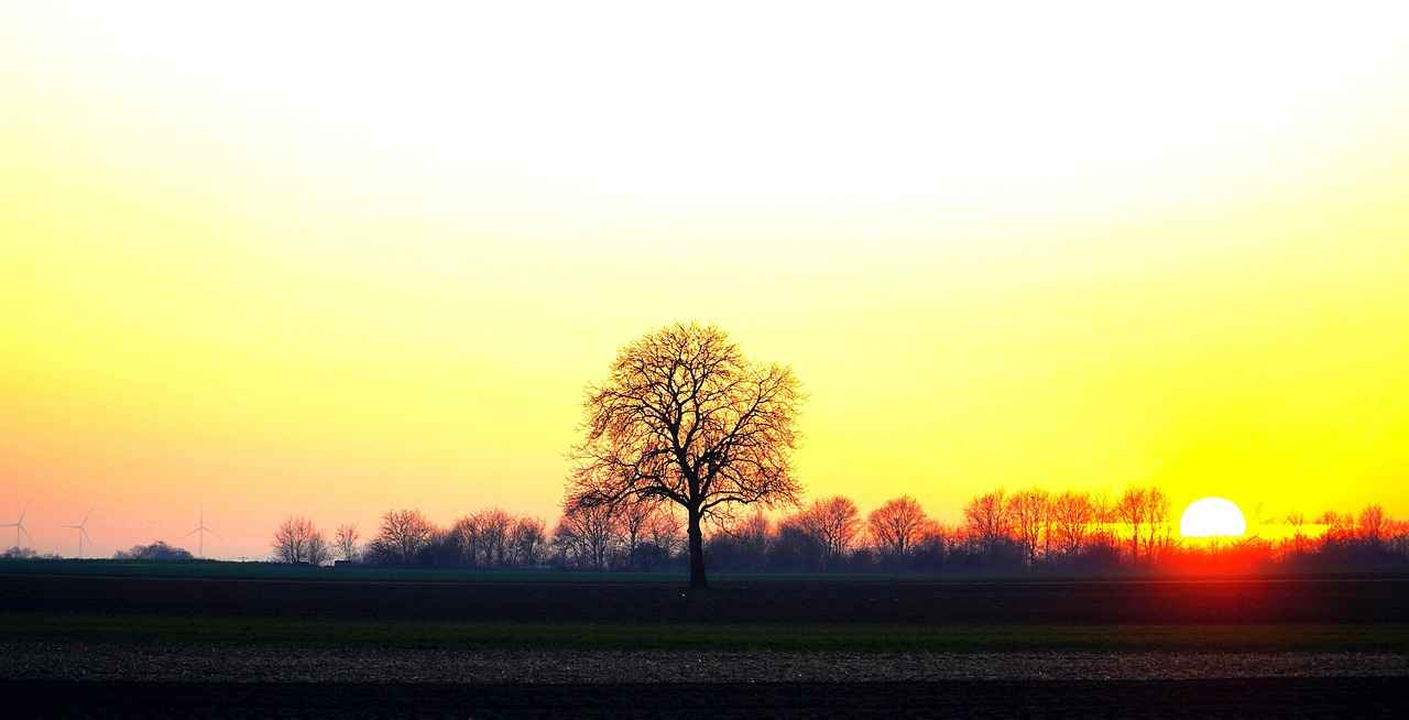 Sonuç: Yatak Odanızda Fark Yaratın