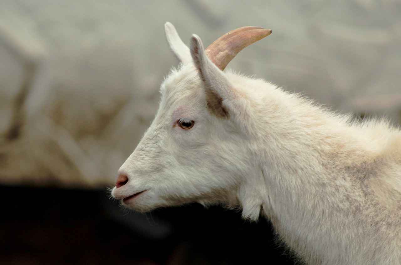 4. Yatak Odası Dekorasyonuna Uyum Sağlama