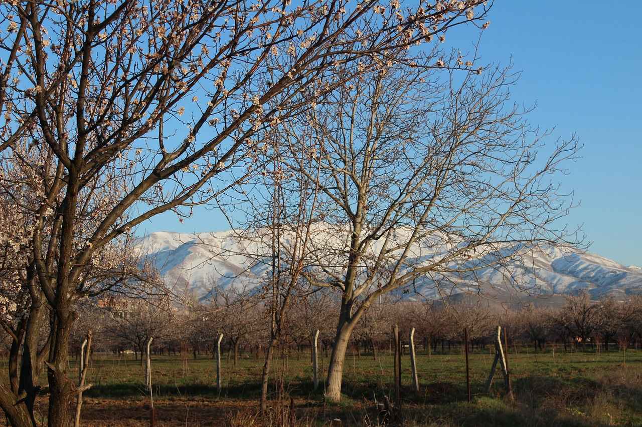 1. Çiçek Desenli Nevresimler