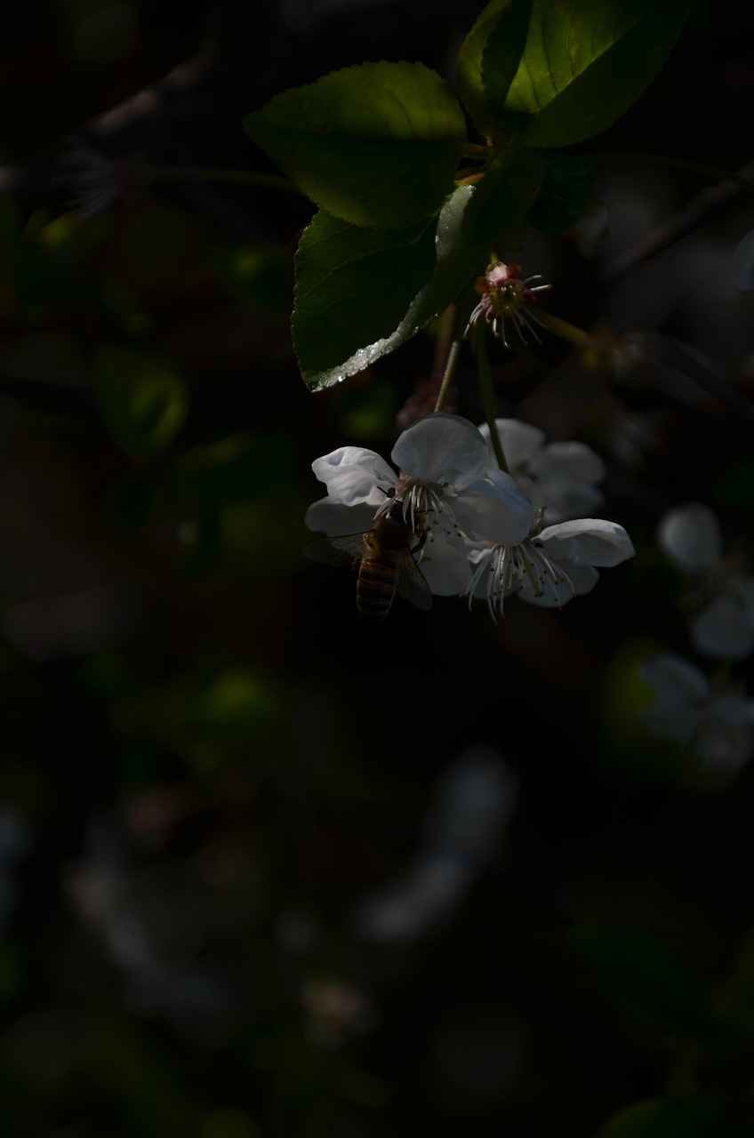Sezonun En Trend Çiçekli Nevresim Modelleri
