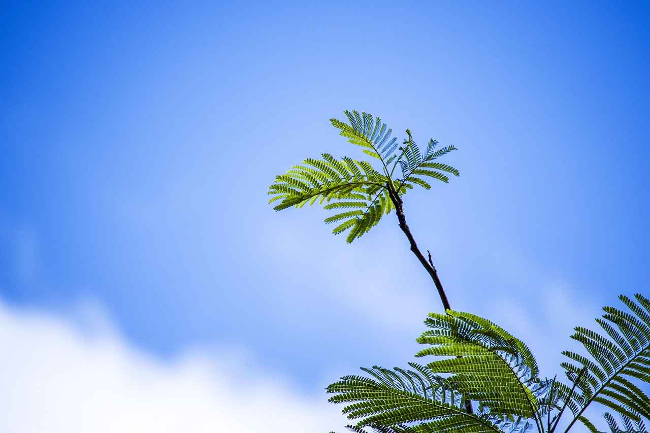 7. Sıcak İklimlerde Uyku Kalitesini Artırma İpuçları