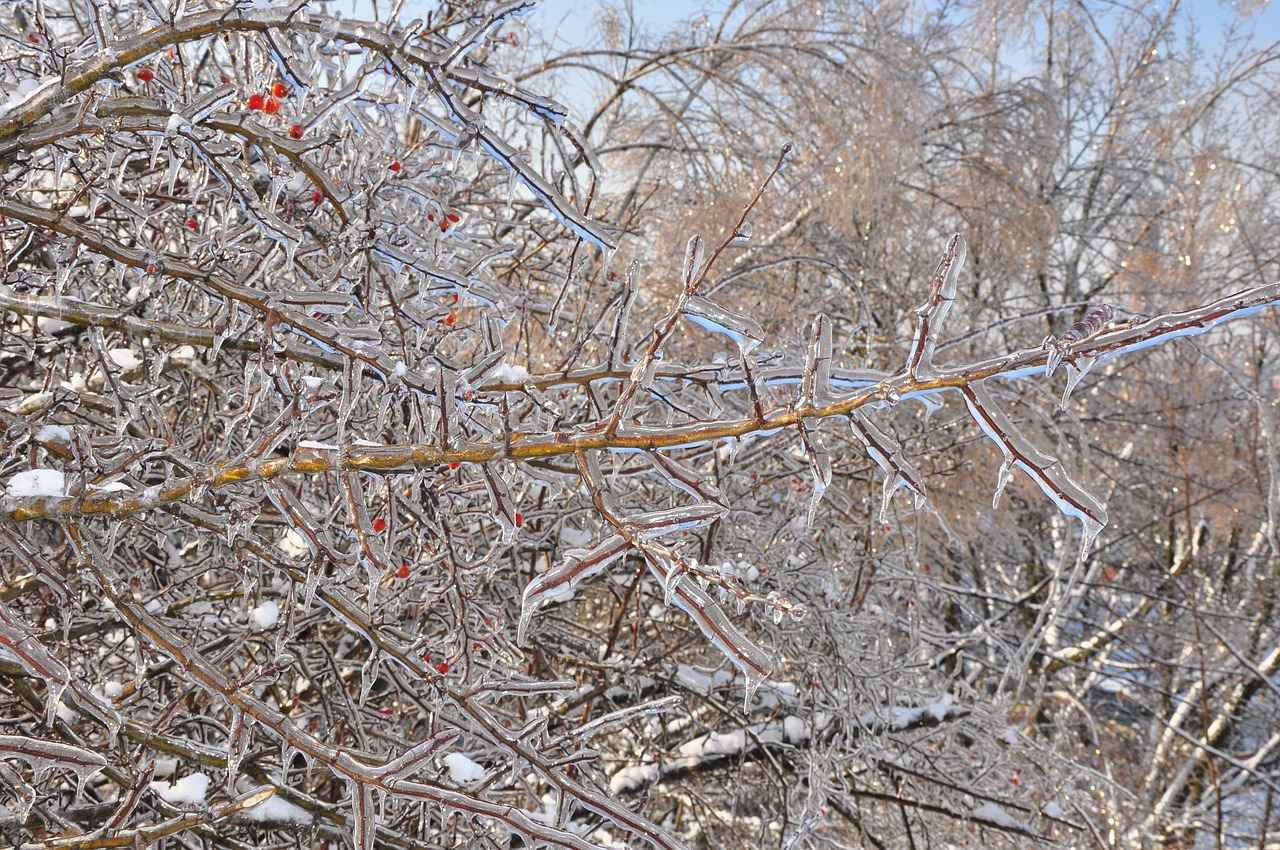 4. Vintage Tarzı Nevresim Kombinleri