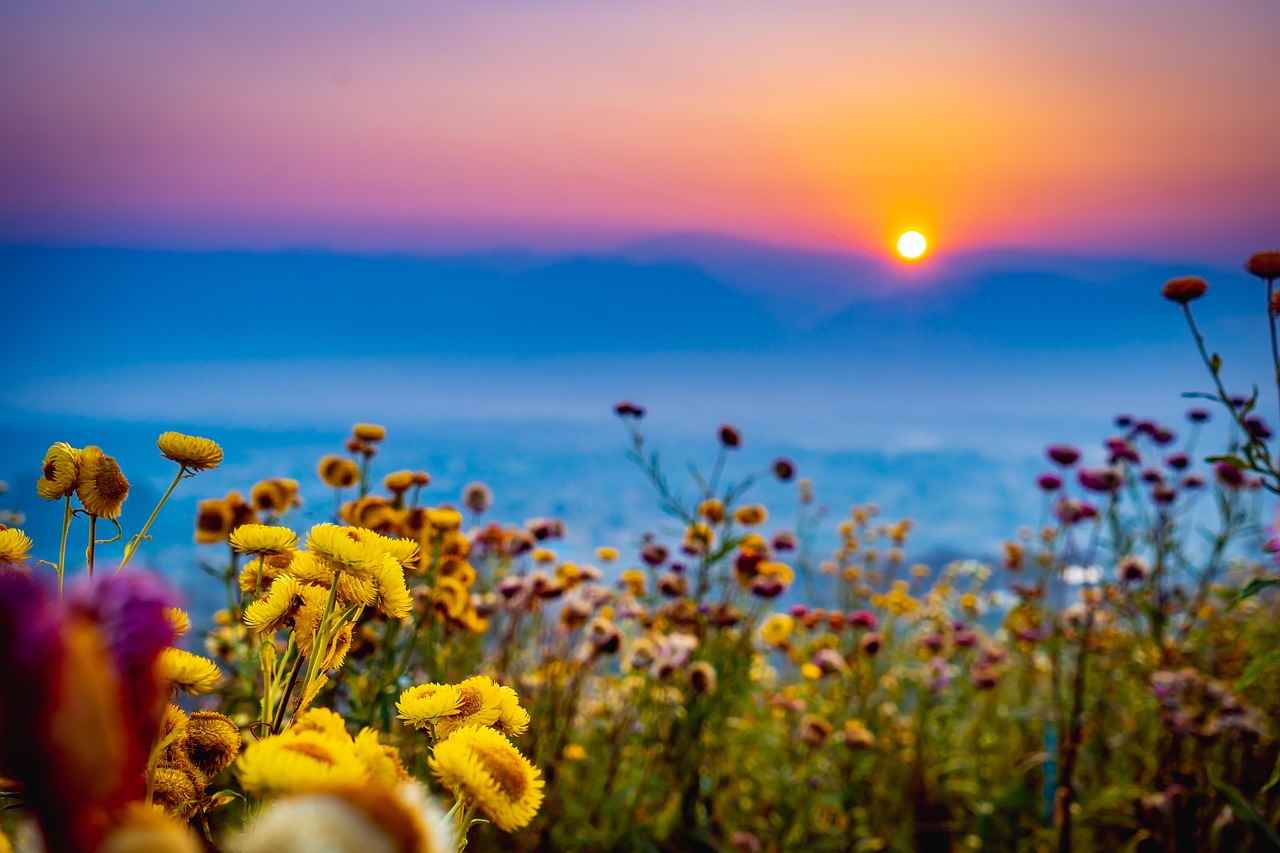 Sonuç: Yünlü Nevresimlerle Sıcak Kış Geceleri