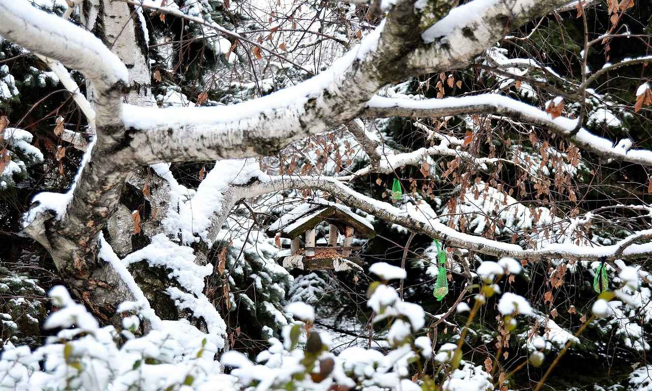 Yazlık Nevresimlerde En İyi Hava Alan Materyaller
