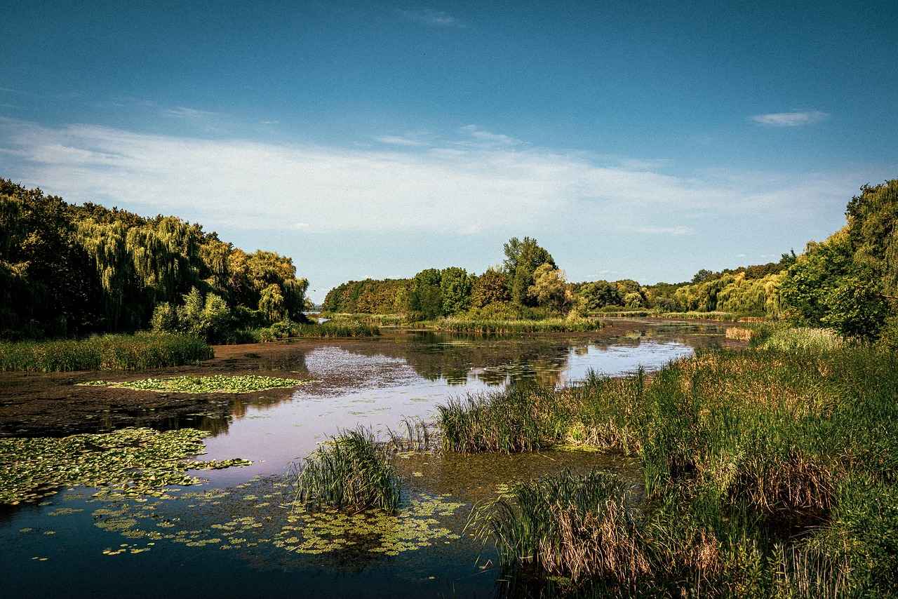 Yeni Sezon Nevresim Renkleri ve Kombinasyonları